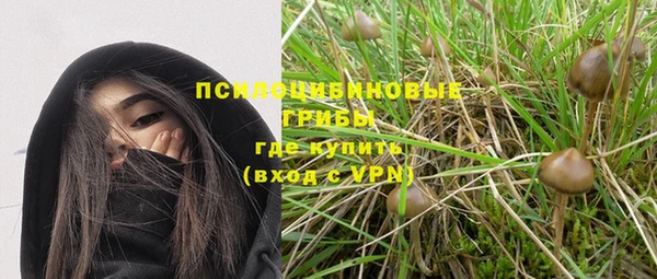 прущие крисы Баксан
