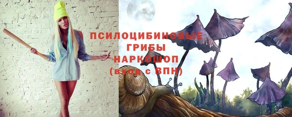 прущие крисы Баксан