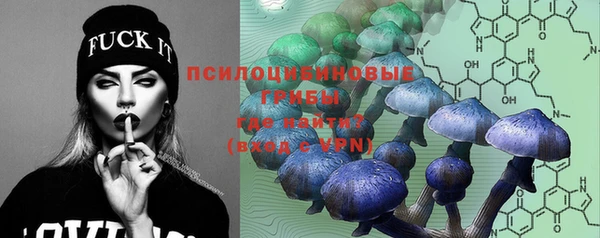 прущие крисы Баксан